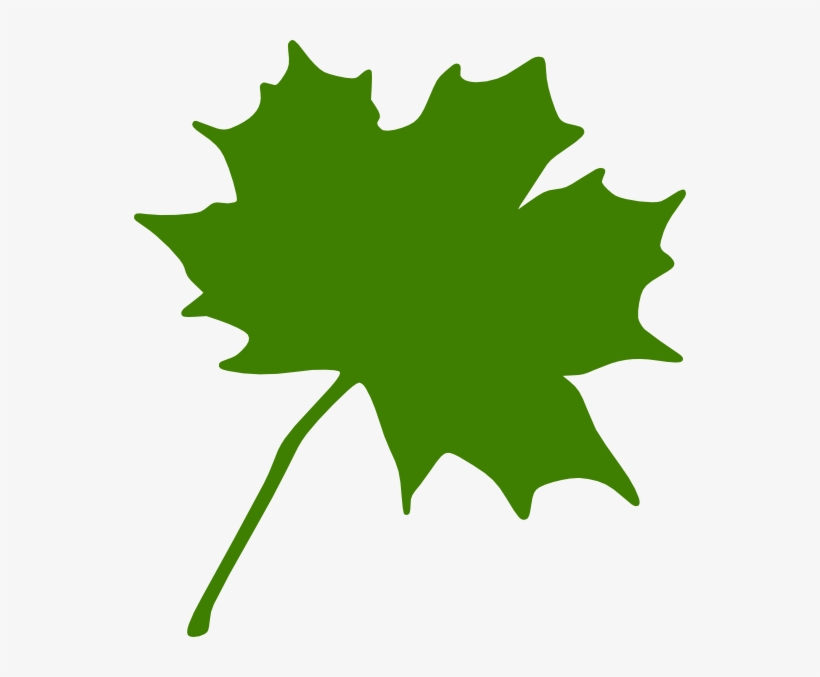 Maple Leaf Clipart Green Maple Leaf Clipart Clipart - Clip Art Canadian Maple Leaf, transparent png #7931857