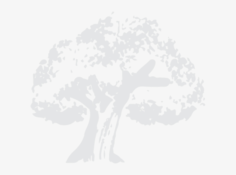 If You Are A Producer Of Cork Products, We Hope You - Oak, transparent png #7931960