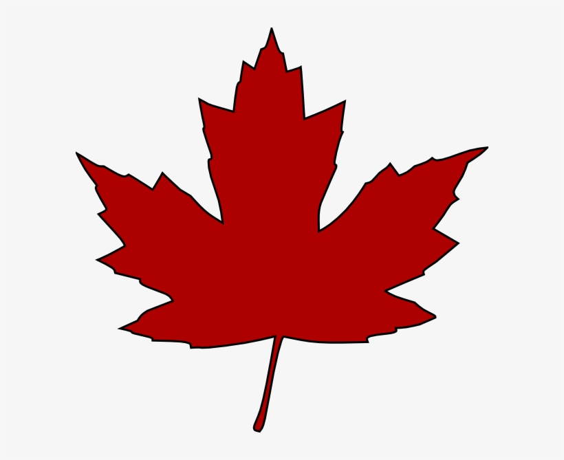 Maple Leaf Clip Art Free Vector 4vector - Canadian Maple Leaf Clipart, transparent png #7932083