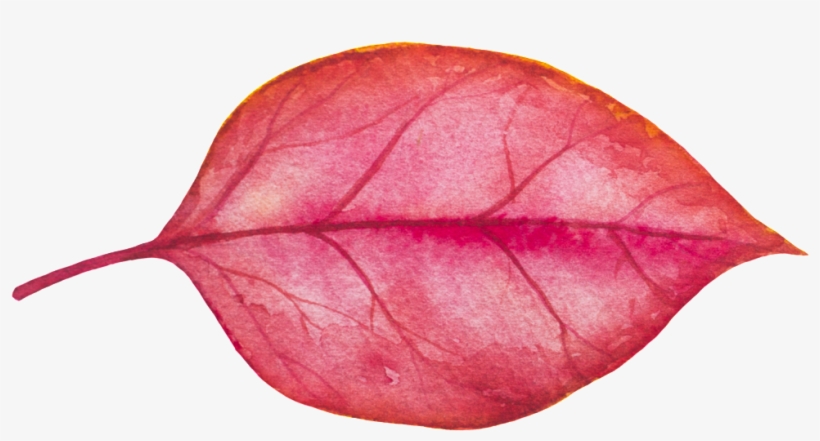 A Piece Of Red Leaf Vector - Autumn, transparent png #7932525