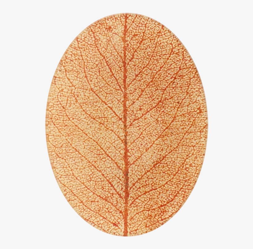 Circle, transparent png #7932559