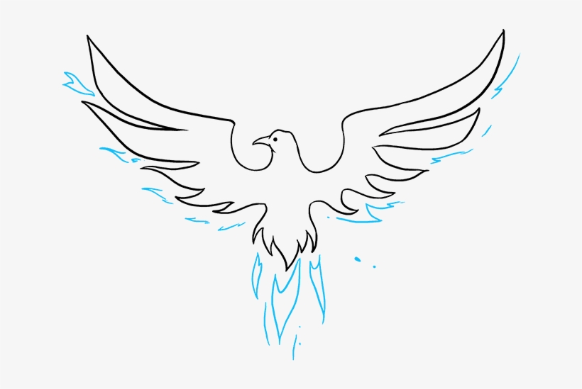 How To Draw Phoenix - Phoenix Bird Easy Drawing, transparent png #7932607