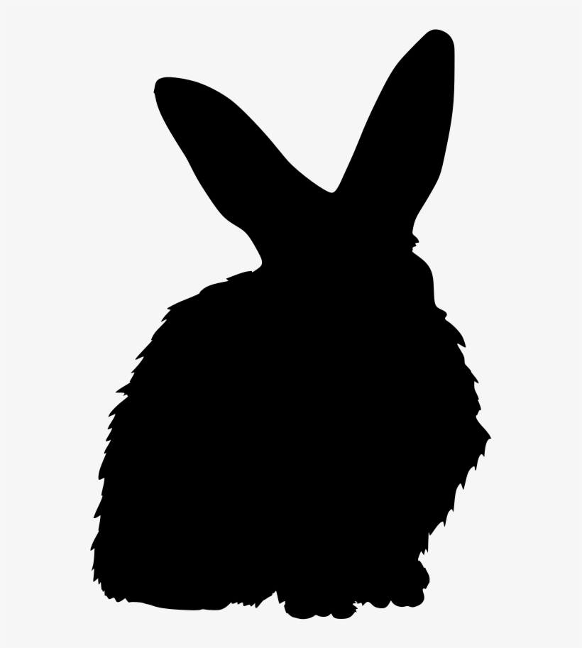 Download Png - Domestic Rabbit, transparent png #7933007