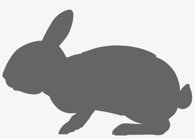 Swamp Rabbit, transparent png #7933506