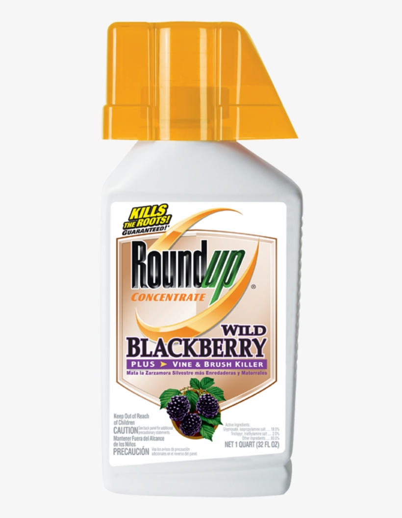 Prevnext - Roundup Blackberry Killer, transparent png #7933570