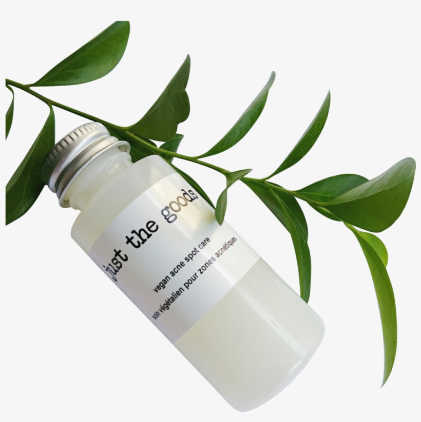 Just The Goods Vegan Acne Spot Care - Cream, transparent png #7933745