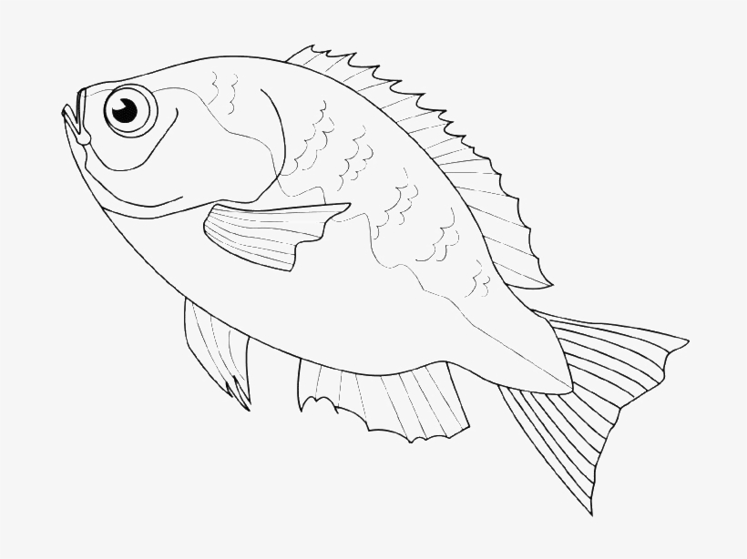 The Fish Are Often Sold At Markets Coloring Pages - Coloring Book, transparent png #7934360