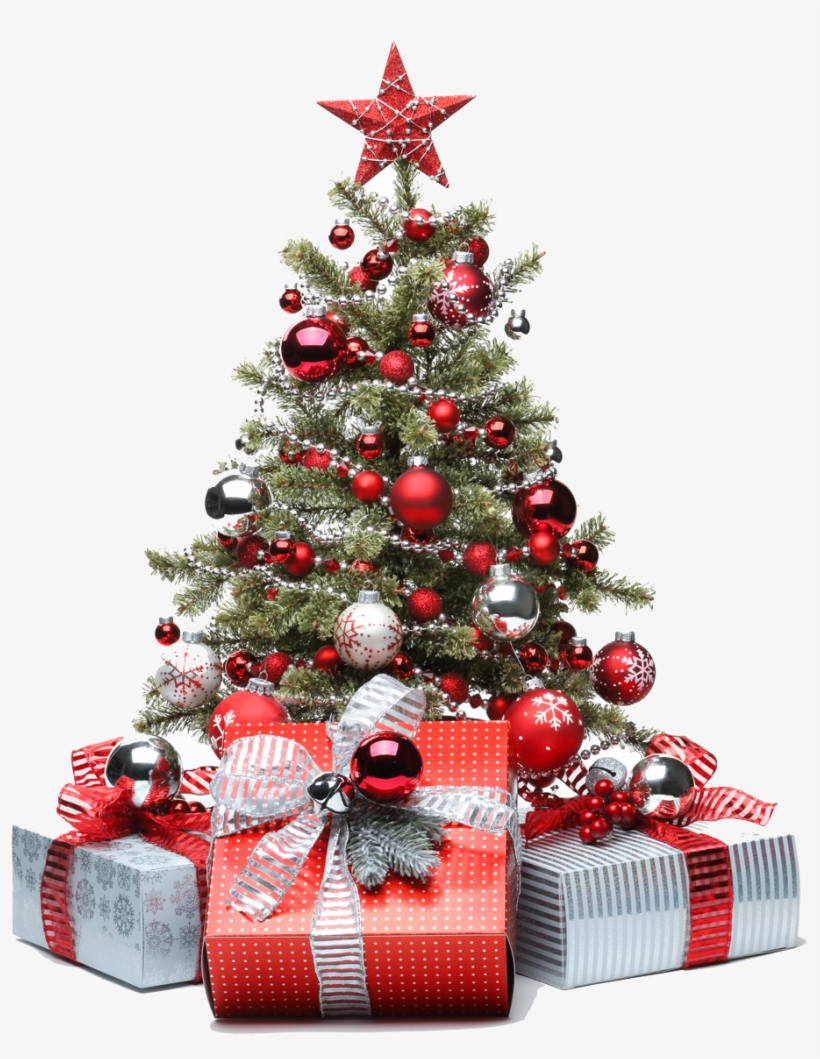 Tesco Christmas Trees Lights Decoration Tree Decorations - Money Under The Christmas Tree, transparent png #7934512