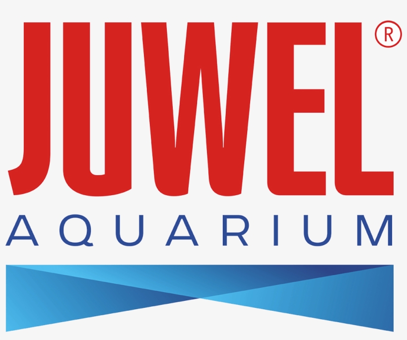 Juwel-png - Juwel, transparent png #7935000