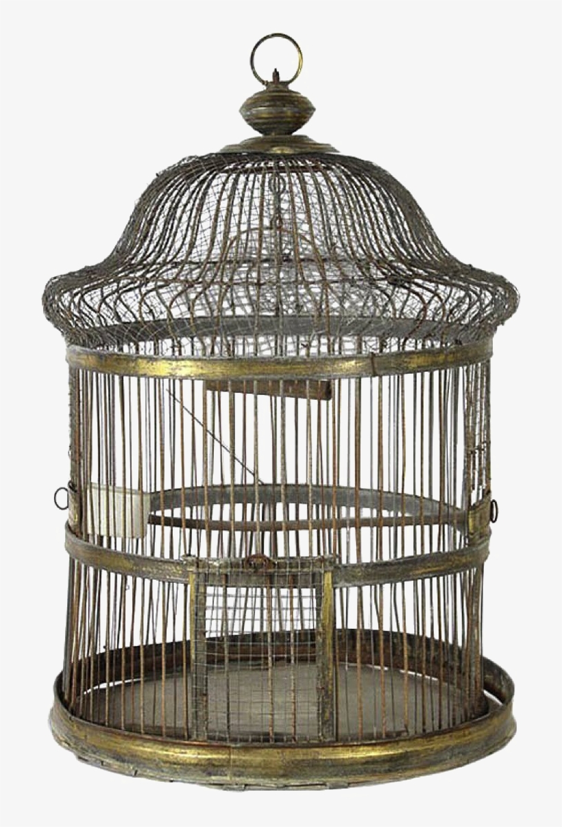 Birdcage Png Photo - Png Transparent Bird Cage, transparent png #7935004