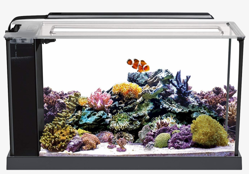 Fluval Evo V 5 Aquarium - Fluval 5 Gallon Evo, transparent png #7935095
