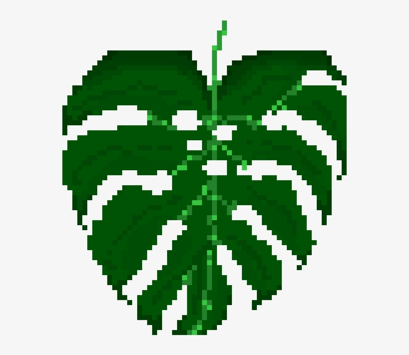 Monstera Leaf - Illustration, transparent png #7935655