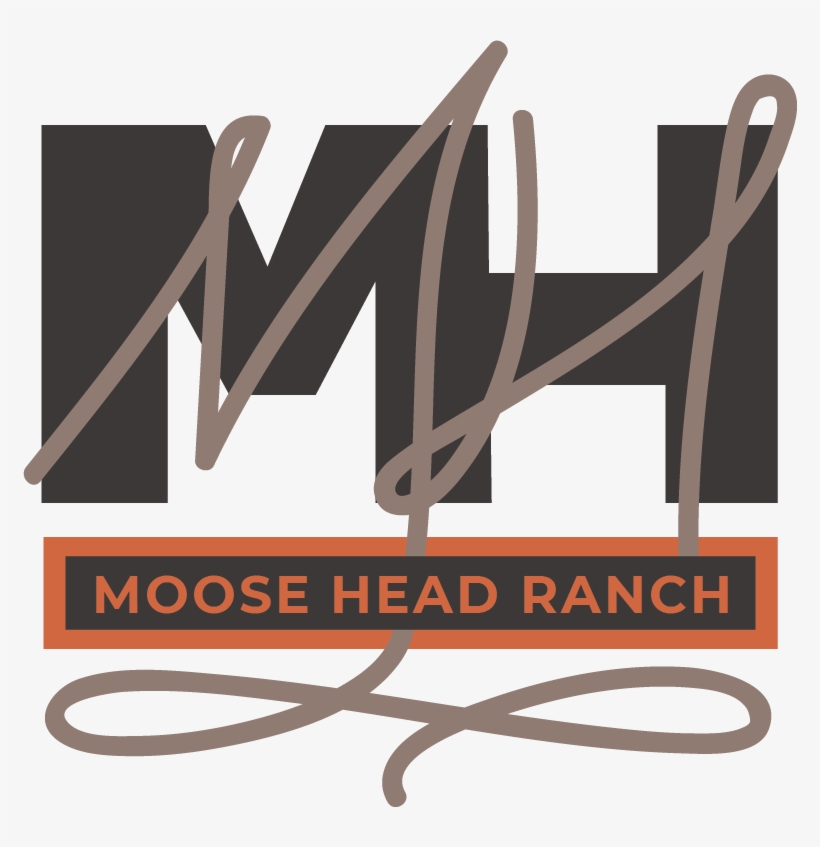 Includedbook A Stayratescontact - Wood, transparent png #7935688