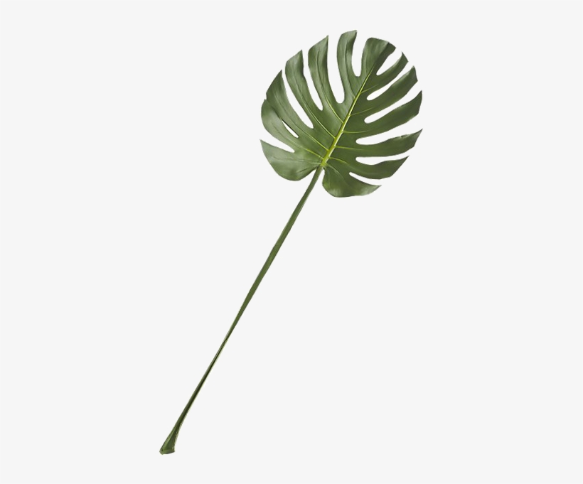 Clip Art, transparent png #7935949
