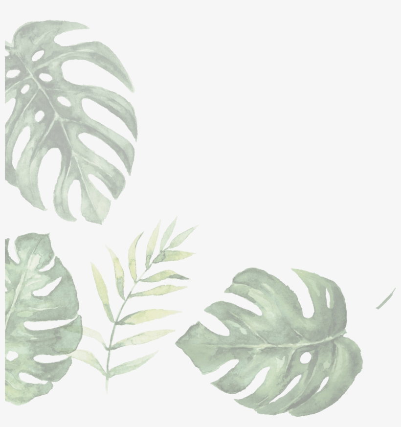 Leaf-2 - Illustration, transparent png #7936501