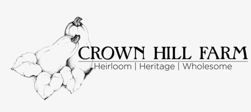 Drawn Crown Png, transparent png #7937240