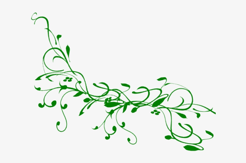 Drawn Vine Green Vine - Tree Branch Clip Art, transparent png #7937933