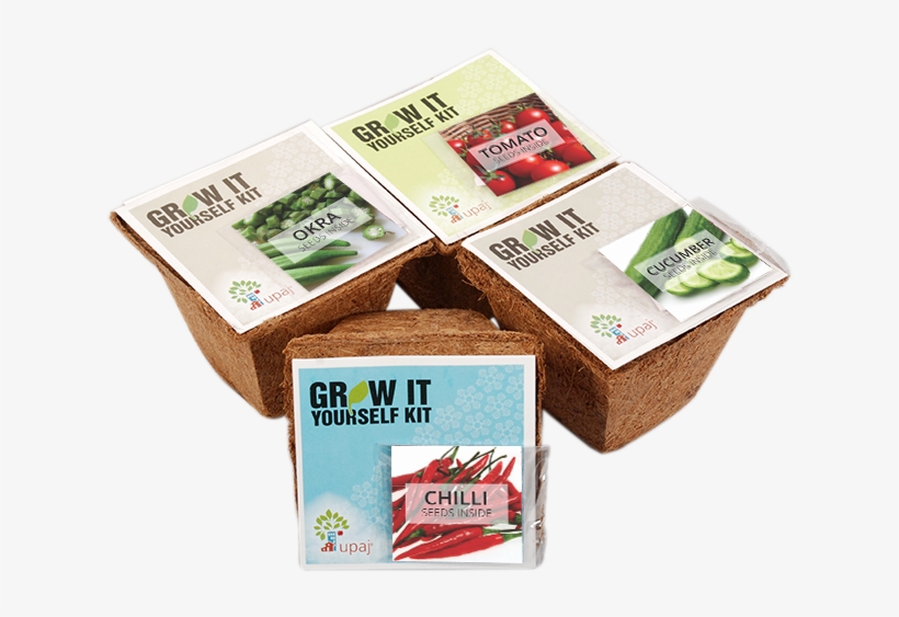 Vegetable Garden - Carton, transparent png #7940931