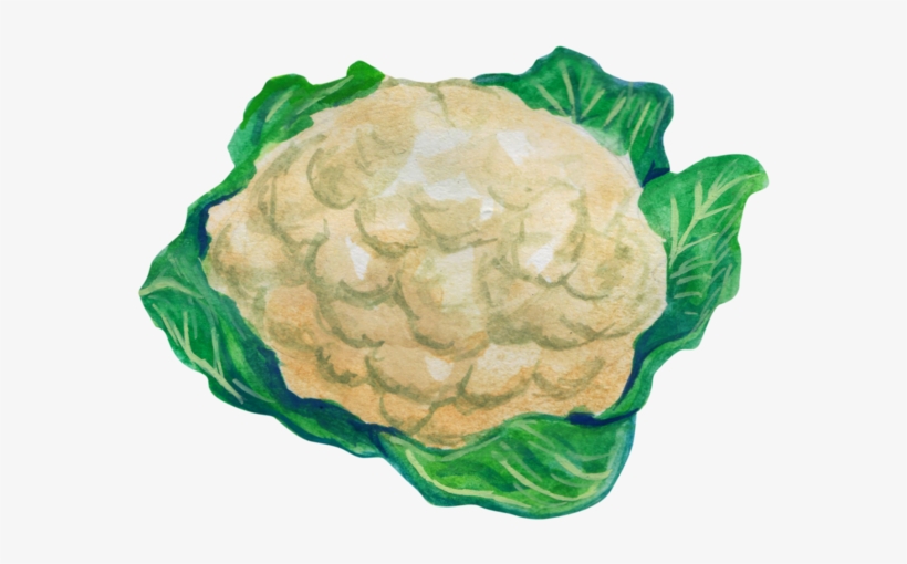 600 X 521 3 - Cauliflower, transparent png #7941197