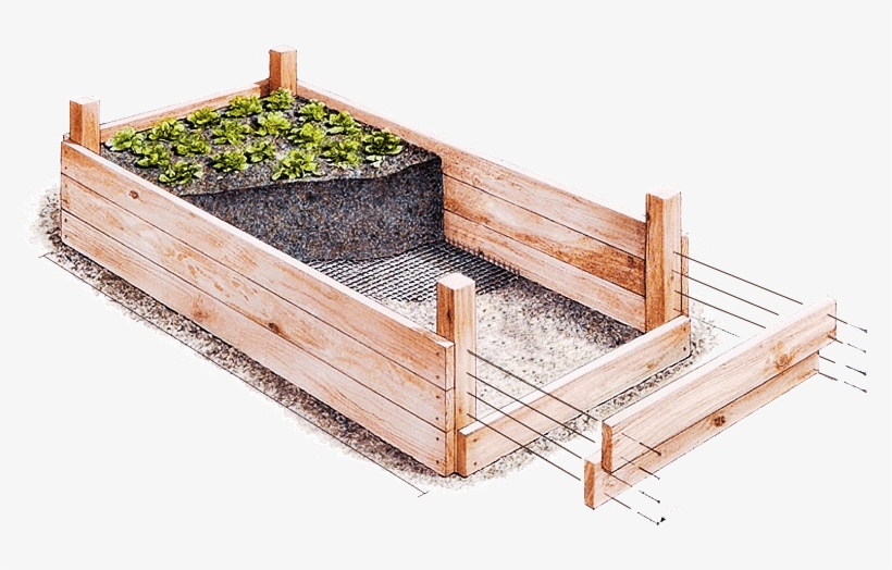 Custom Vegetable Gardens - Raised Garden Beds Sketch, transparent png #7941295
