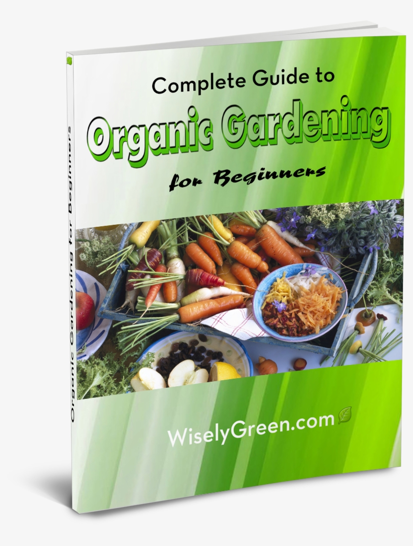 Click On Free Ebook And Download Today - Superfood, transparent png #7941496