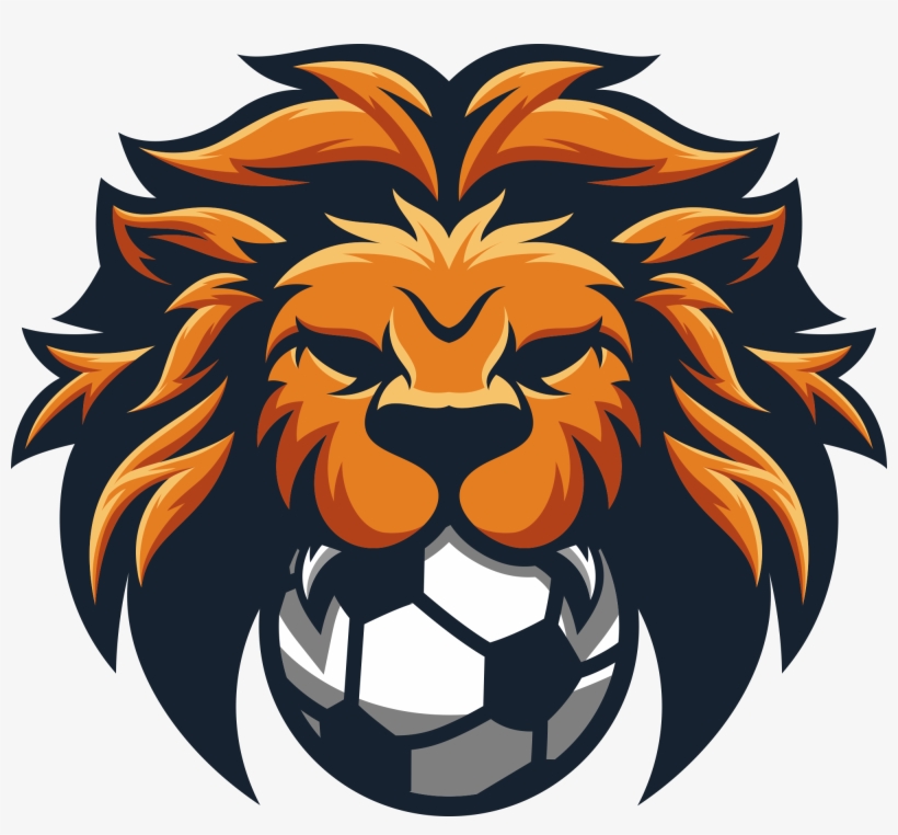 dls logo png