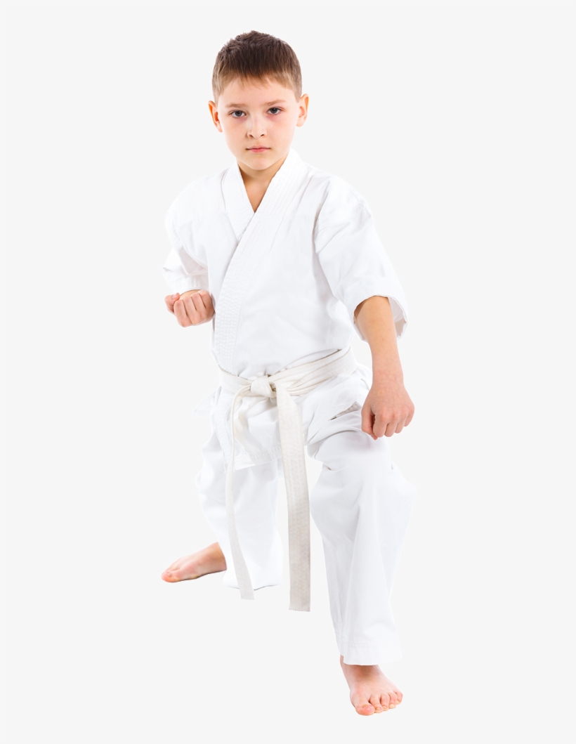 We Have Developed A Program Based On Traditional Taekwondo - Brazilian Jiu-jitsu, transparent png #7942386