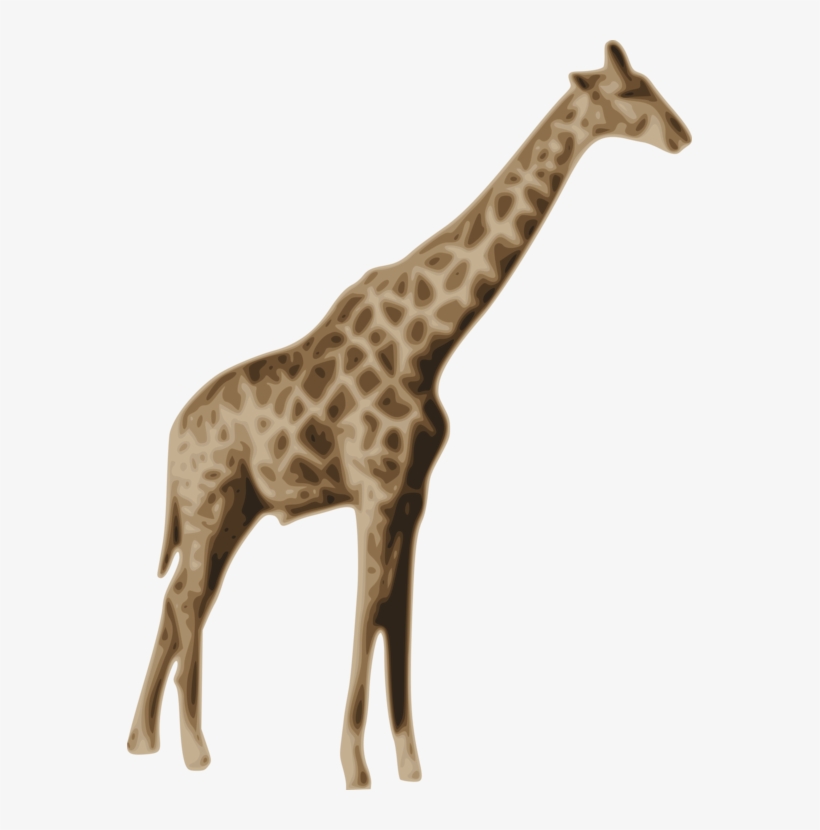 All Photo Png Clipart - National Geographic Tv Channel, transparent png #7943093