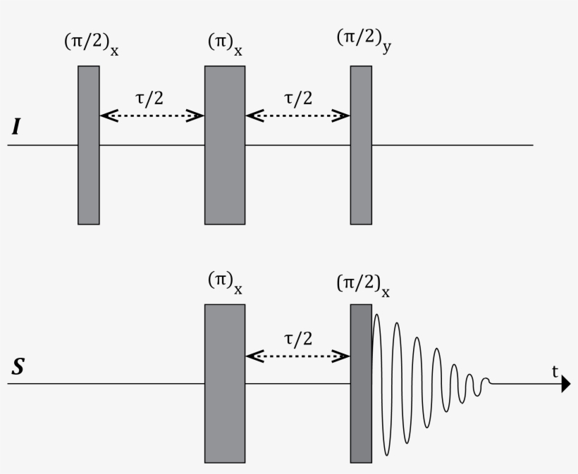 Inept Pulse Sequence - Inept Nmr, transparent png #7943407