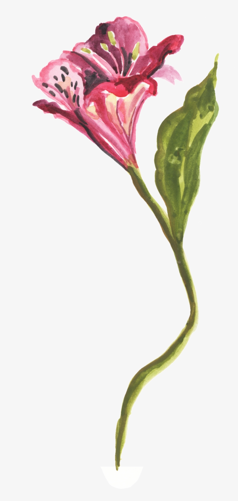 Black Yellow Flower Transparent Decorative - Lily, transparent png #7943791