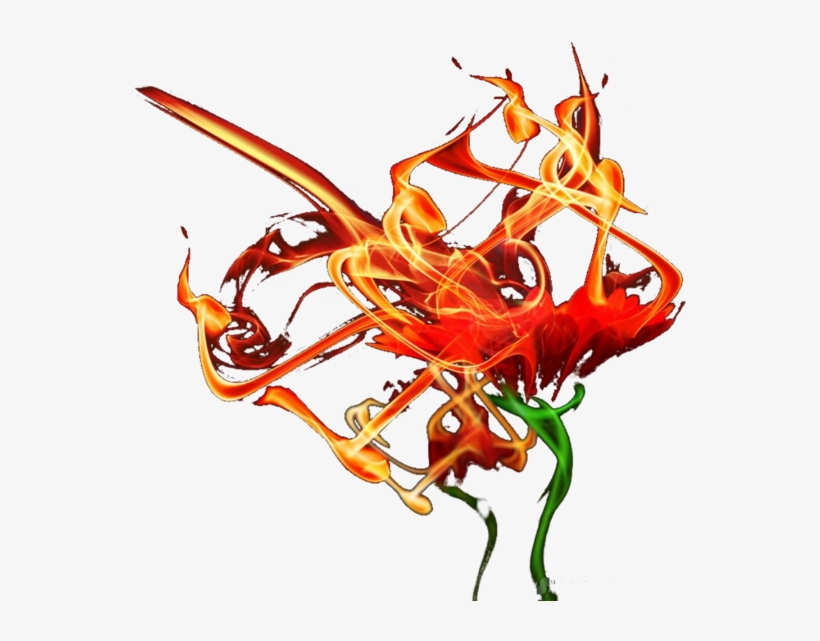 Fire Flower - Flower, transparent png #7944058
