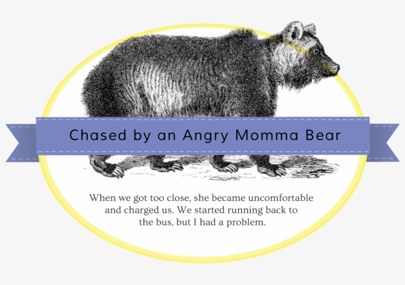 Momma Bear Badge - Punxsutawney Phil, transparent png #7945287