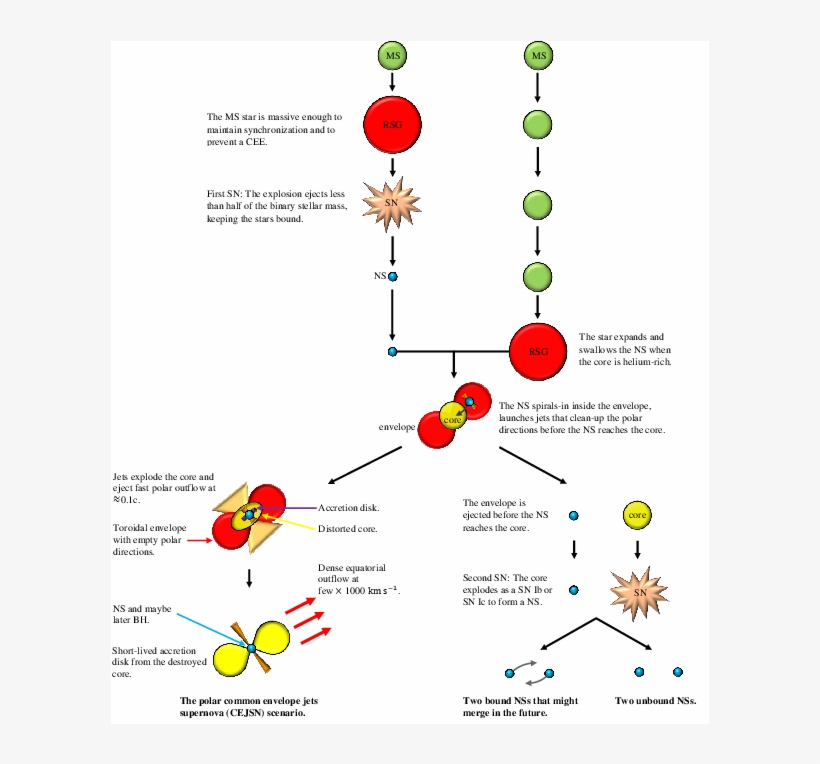 A Schematic Drawing Of The Polar Cejsn Scenario We - Diagram, transparent png #7945458