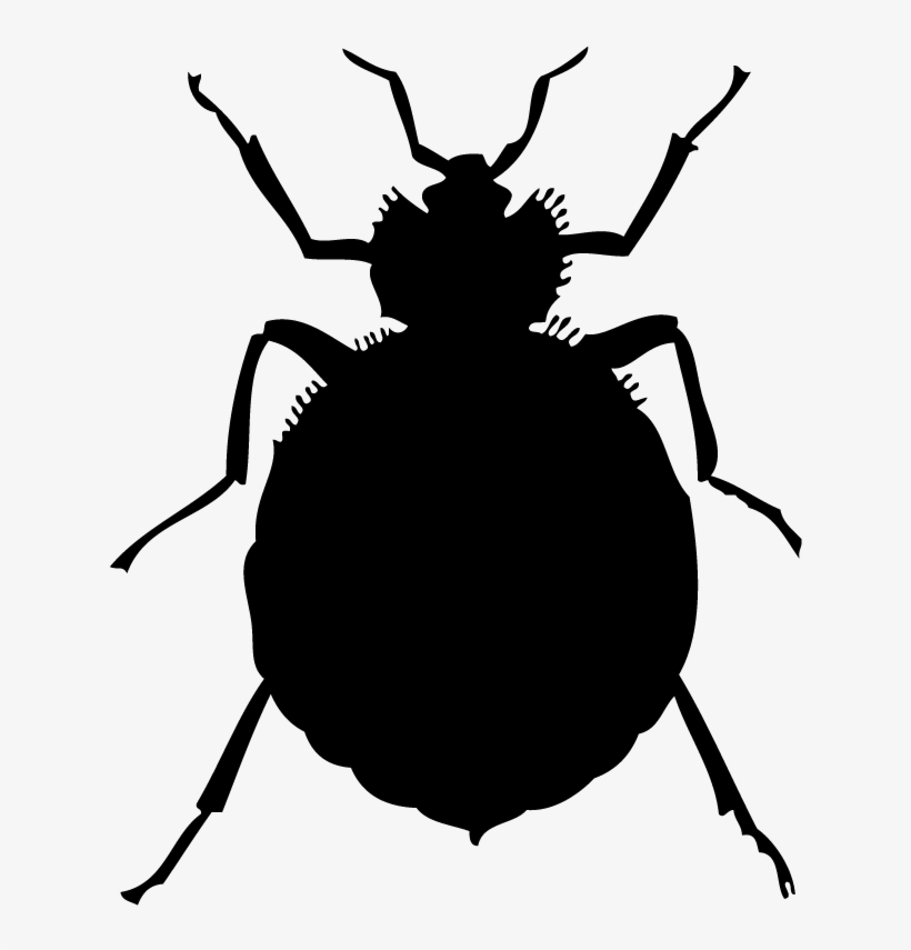 1250 X 1250 3 - Bed Bugs Clipart, transparent png #7946006