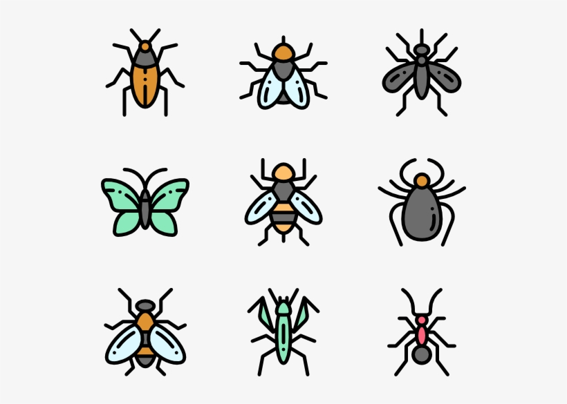 Insects - Membrane-winged Insect, transparent png #7946253