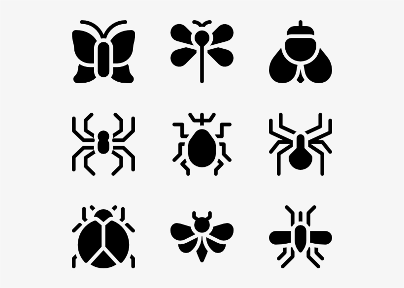 Insects, transparent png #7946394