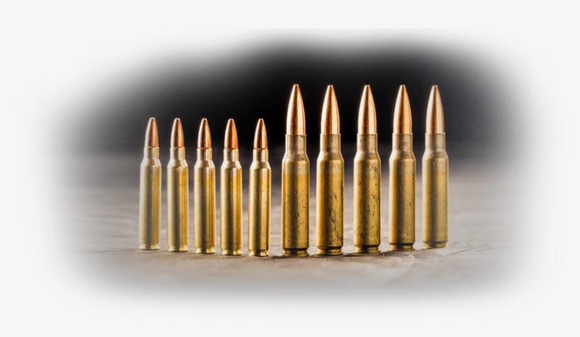 The Trail Thermal Sights Feature High Shock Resistance - 223 Vs 308, transparent png #7946550