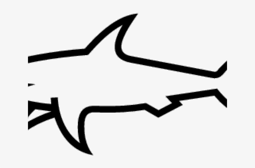 Paul Shark, transparent png #7946973