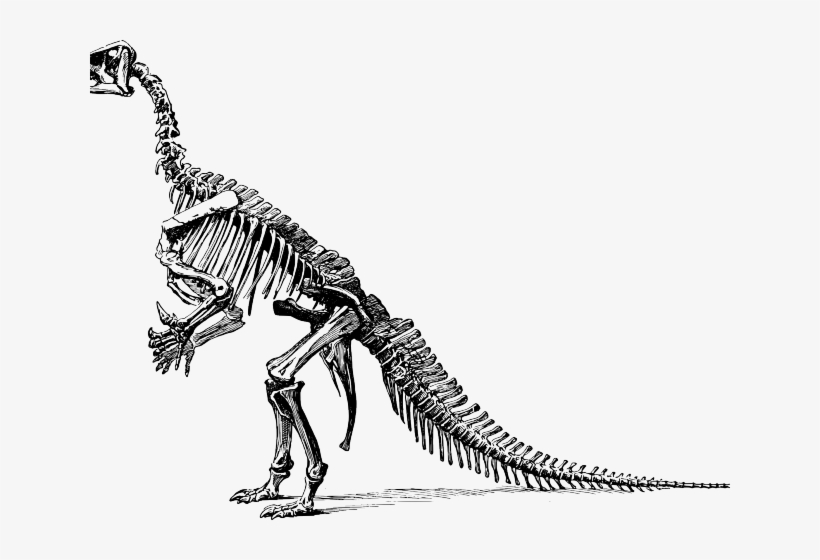 Velociraptor Clipart Cute Dinosaur - Dinosaurs Didn T Read Now They Are Extinct, transparent png #7946975