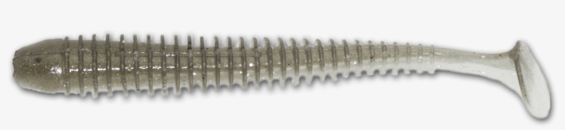 Tennessee Shad - Bullet, transparent png #7947150