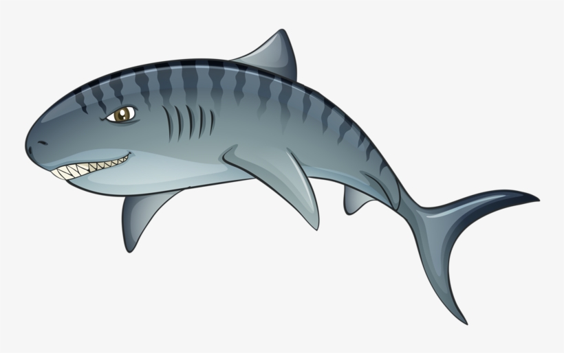 Tiger Shark Leap Transprent - Tiger Shark Vector, transparent png #7947443
