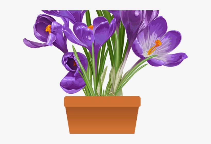 Original - Spring Flower Pot Png, transparent png #7948064
