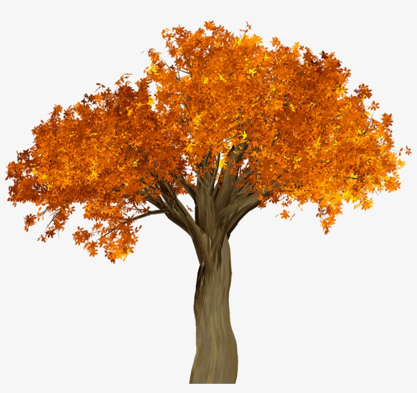 Cutout Autumn Tree, transparent png #7948478