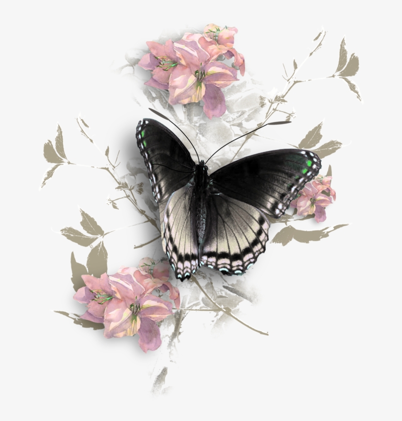 Яндекс - Фотки - - Clipart Butterfly Illustration, - Red Spotted Purple Butterfly, transparent png #7949459