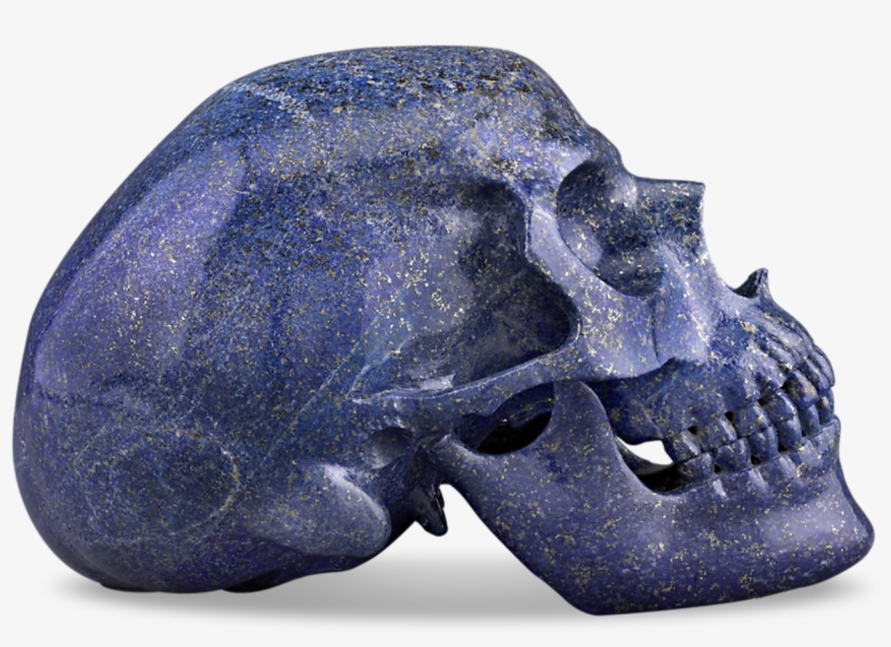 Lapis Lazuli Skull By Andreas Von Zadora-gerlof - Skull, transparent png #7951596