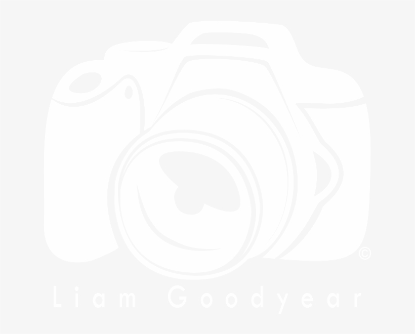 Logo Png White - Mirrorless Interchangeable-lens Camera, transparent png #7952050