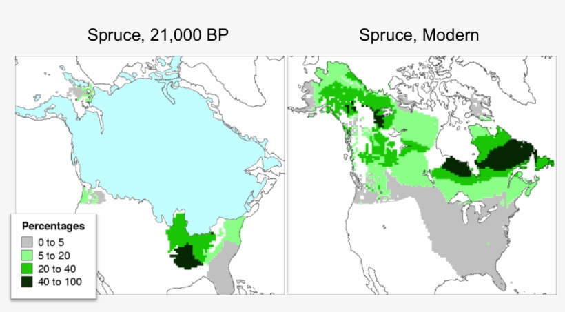 Big Data Is How Can Map Where Spruce Trees Grew 21,000 - Diamond Mines In Canada, transparent png #7952071