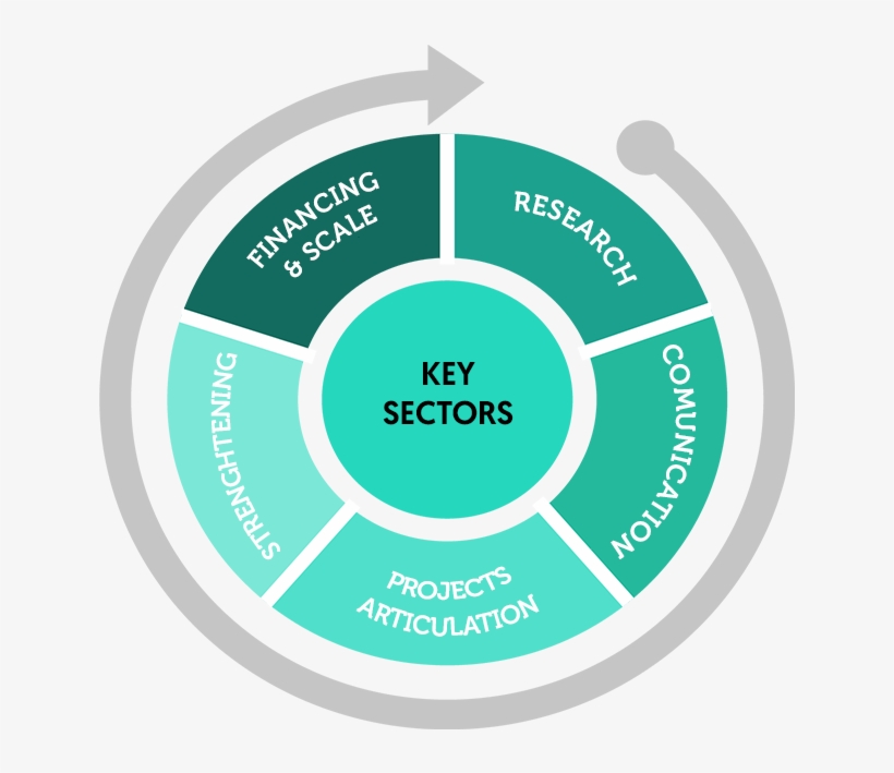 We Promote Collaborative Research Which Opens Up Relevant - Circle, transparent png #7953738