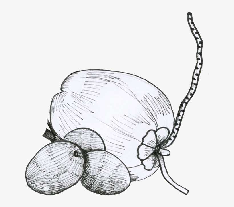Aa - Sketch, transparent png #7954313