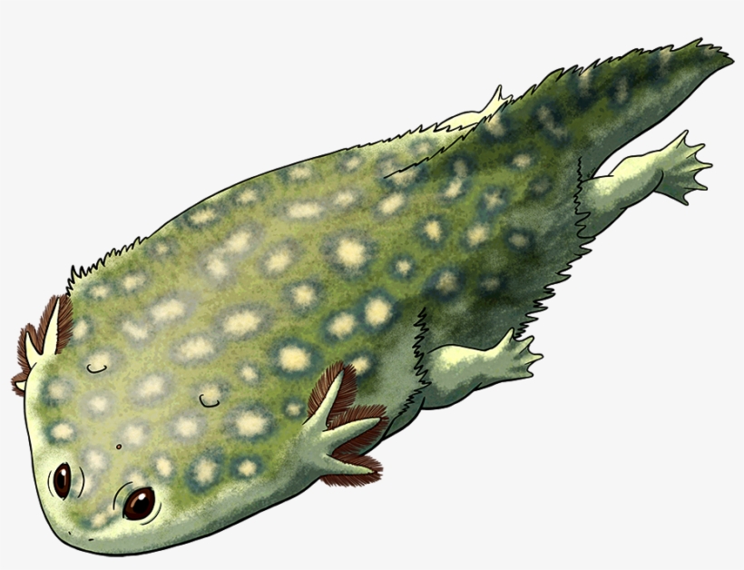 Tumblr Oc1q0ily511s5f2yxo1 1280 - Plagiosaurus, transparent png #7954543